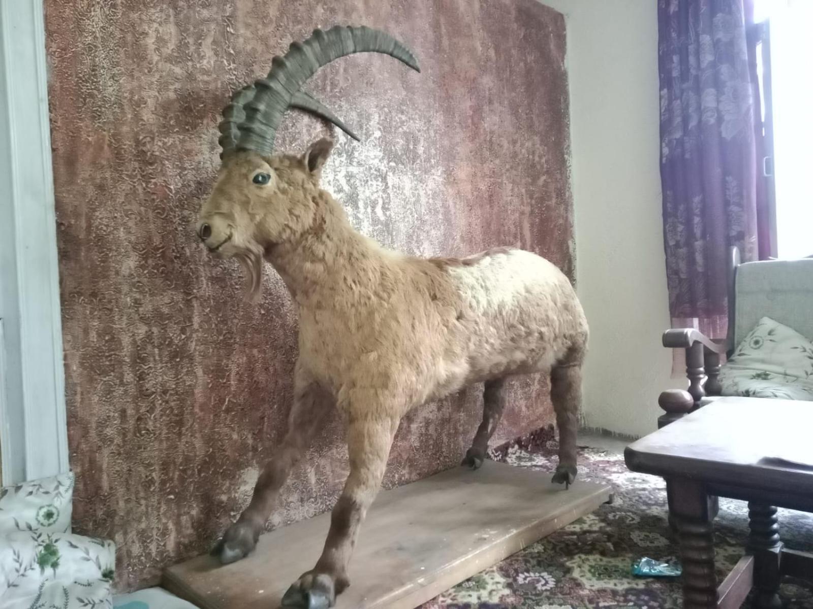 Golden Ibex Resort Skardu Eksteriør bilde