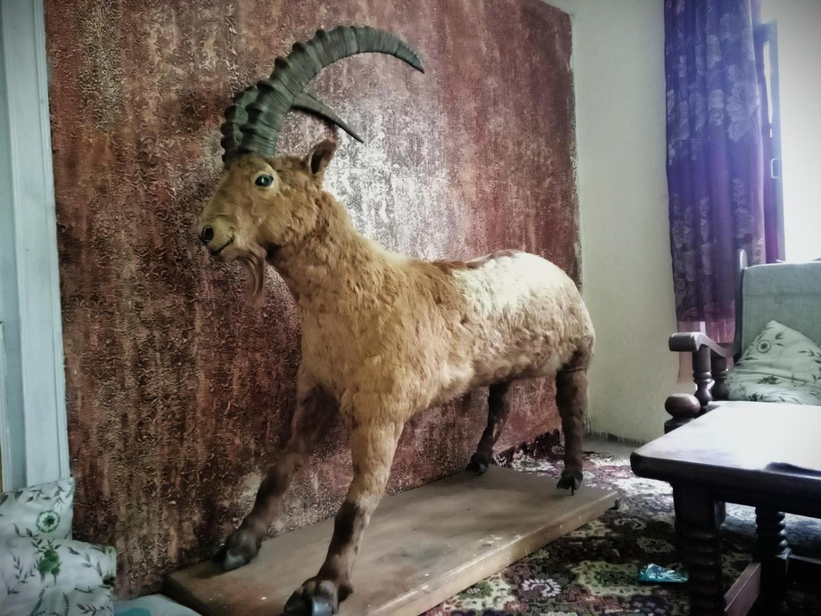 Golden Ibex Resort Skardu Eksteriør bilde